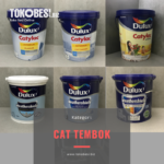 Cat Tembok