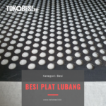 Plat lubang